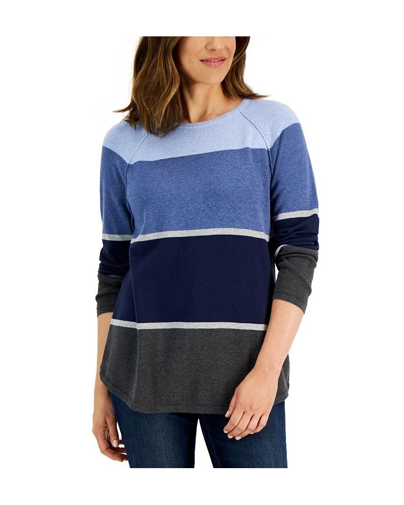 Women's Thea Cotton Colorblocked Sweater Purple $11.24 Sweaters